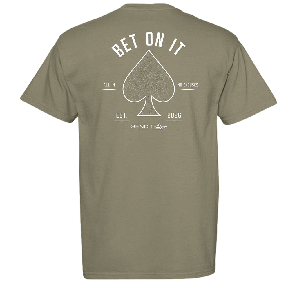 SANDSTONE - C1717 - BACK